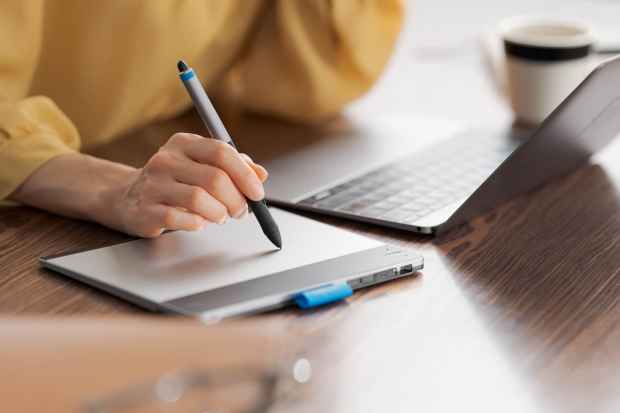 イラスト作成オプションのイメージ